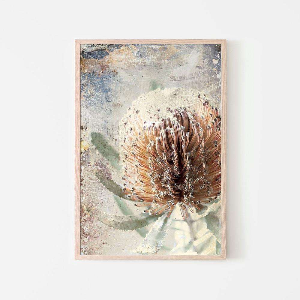 wall-art-print-canvas-poster-framed-Textured Banksia Flower-6