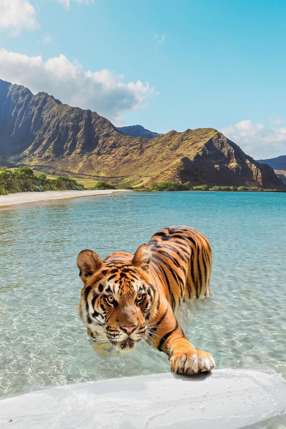 Tiger and Surfboard-by-Gal Pittel-wall-art-print-canvas-poster-framed-Gioia