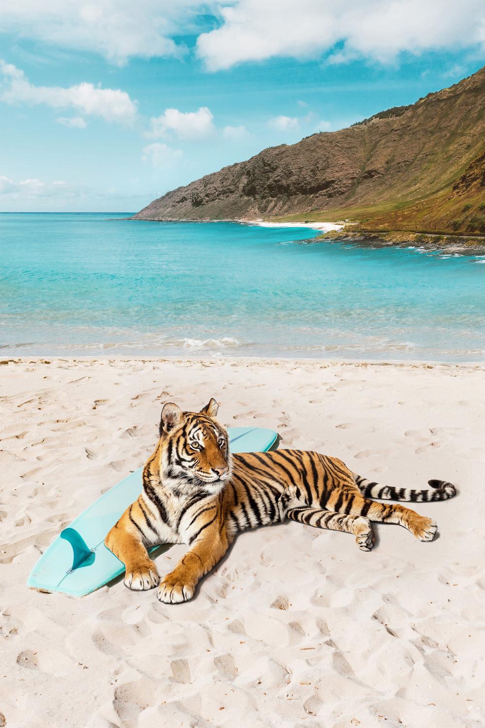 Tiger's Surf Beach-by-Gal Pittel-wall-art-print-canvas-poster-framed-Gioia