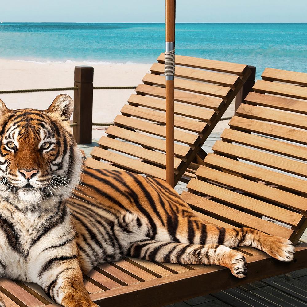 Tigers Tan Time-by-Gal Pittel-wall-art-print-canvas-poster-framed-Gioia