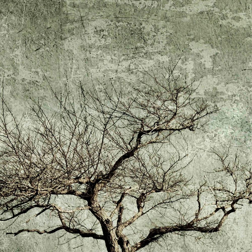 Twisted Elegance-by-Andrew Paranavitana-wall-art-print-canvas-poster-framed-Gioia
