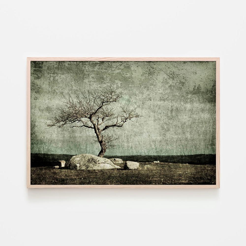 Twisted Elegance-by-Andrew Paranavitana-wall-art-print-canvas-poster-framed-Gioia