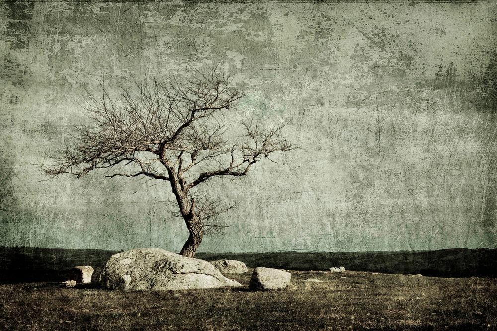 Twisted Elegance-by-Andrew Paranavitana-wall-art-print-canvas-poster-framed-Gioia