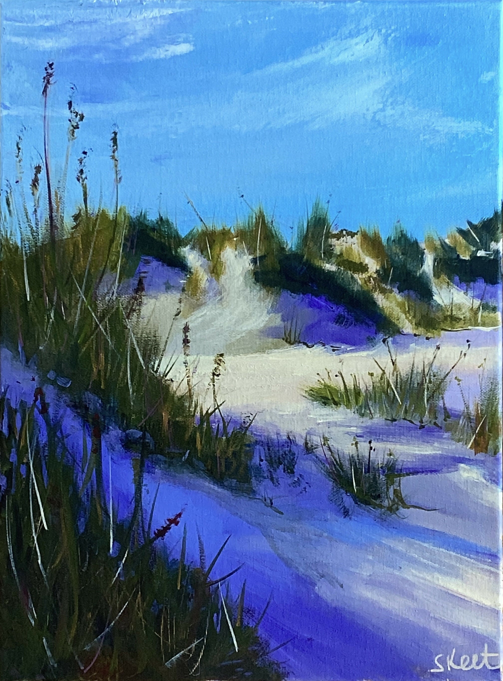 Shadows on the Dunes