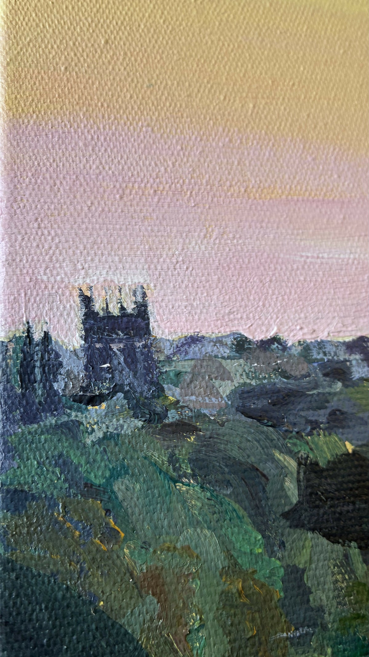 A Skyline Settled