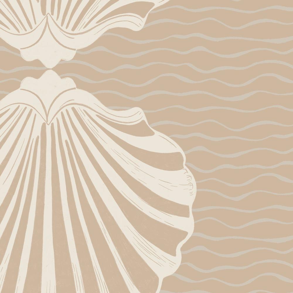 Vintage Coastal Seashells-by-Radhika Modi-wall-art-print-canvas-poster-framed-Gioia