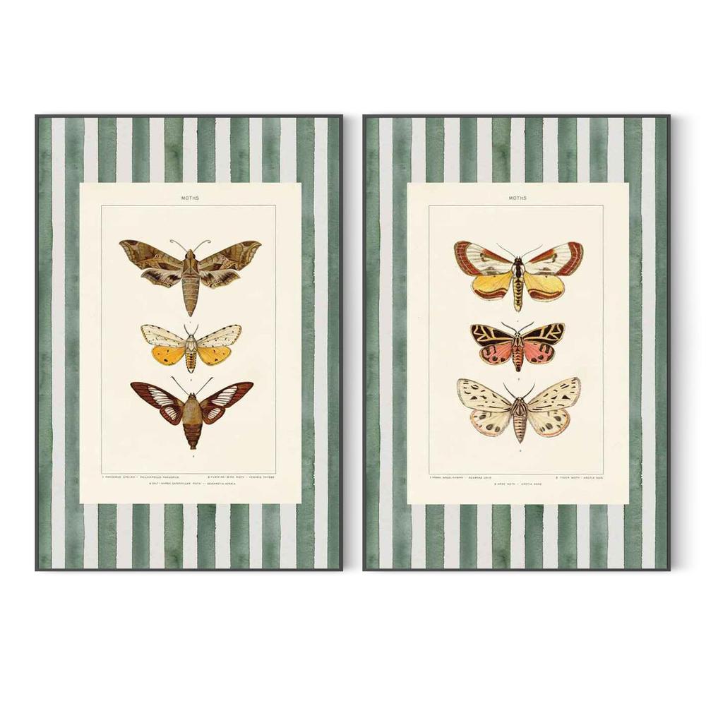 Vintage Moths Stripe, Style A & B, Set Of 2-by-Wild Apple Portfolio-wall-art-print-canvas-poster-framed-Gioia