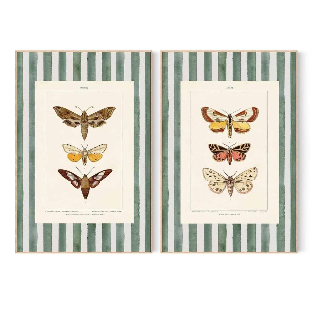 Vintage Moths Stripe, Style A & B, Set Of 2-by-Wild Apple Portfolio-wall-art-print-canvas-poster-framed-Gioia