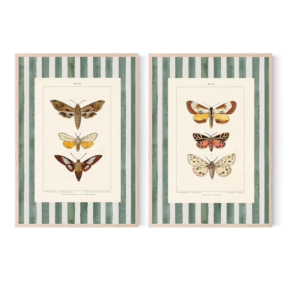Vintage Moths Stripe, Style A & B, Set Of 2-by-Wild Apple Portfolio-wall-art-print-canvas-poster-framed-Gioia