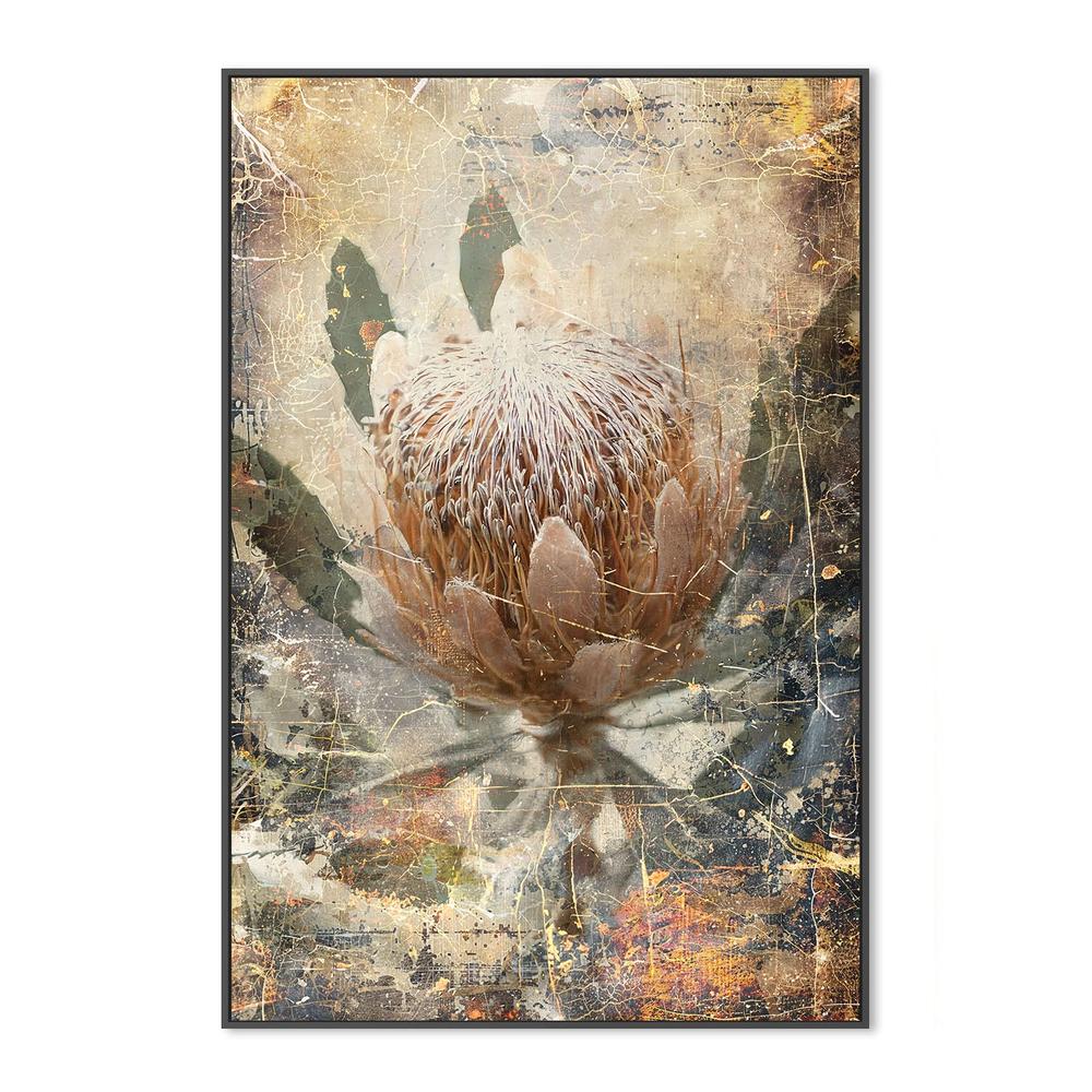 wall-art-print-canvas-poster-framed-Vintage Protea Bloom-3