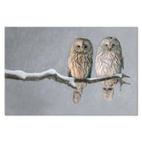 wall-art-print-canvas-poster-framed-A Pair Of Owls-by-Gioia Wall Art-Gioia Wall Art