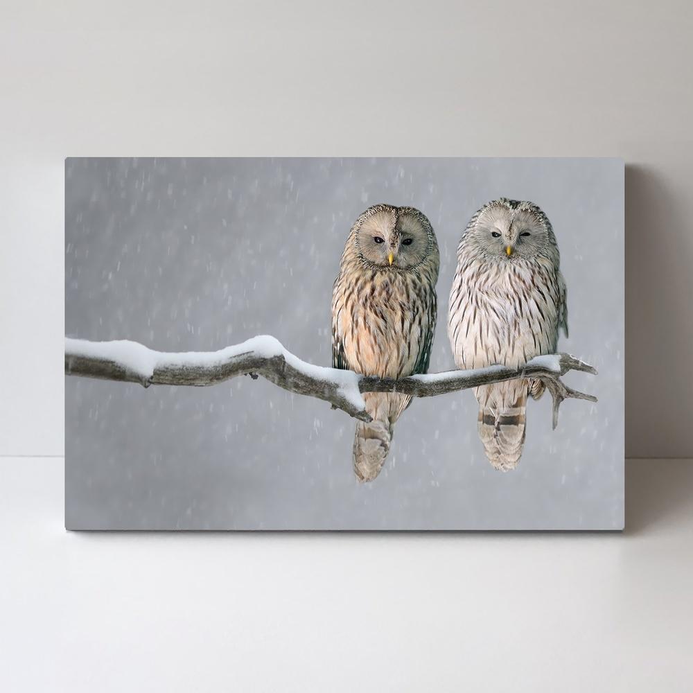 wall-art-print-canvas-poster-framed-A Pair Of Owls-by-Gioia Wall Art-Gioia Wall Art