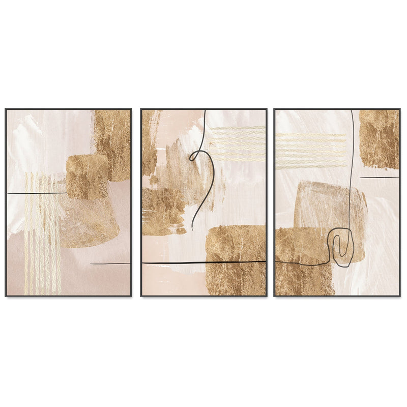 wall-art-print-canvas-poster-framed-Aesthetic Gold, Style A, B & C, Set Of 3 , By Sally Ann Moss-GIOIA-WALL-ART