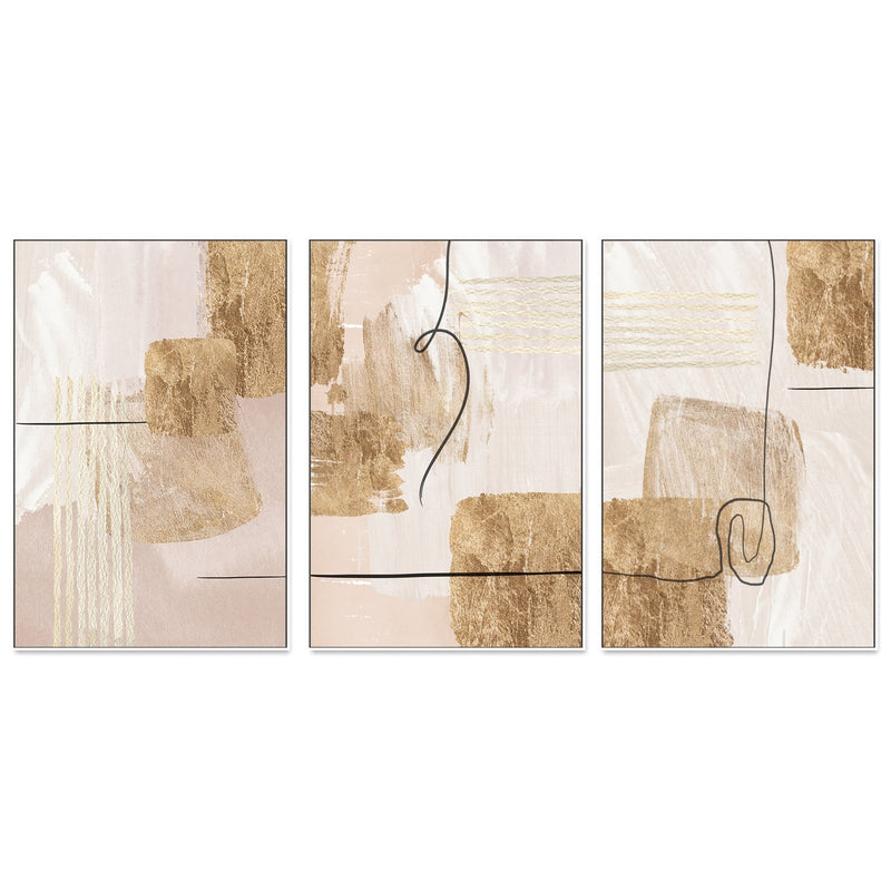 wall-art-print-canvas-poster-framed-Aesthetic Gold, Style A, B & C, Set Of 3 , By Sally Ann Moss-GIOIA-WALL-ART