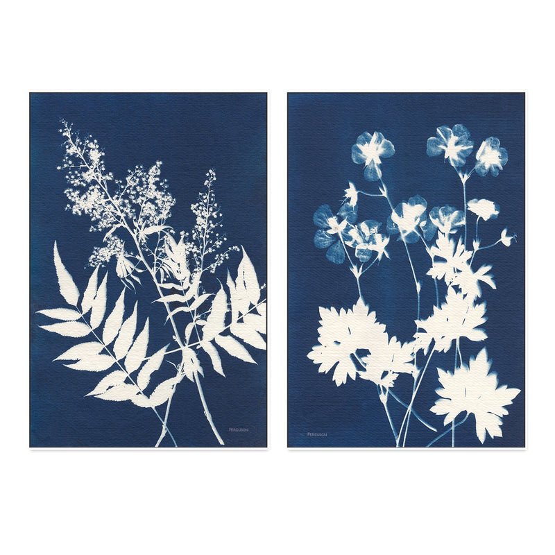 wall-art-print-canvas-poster-framed-Alpine Flowers, Style C & E, Set Of 2 , By Kathy Ferguson-GIOIA-WALL-ART