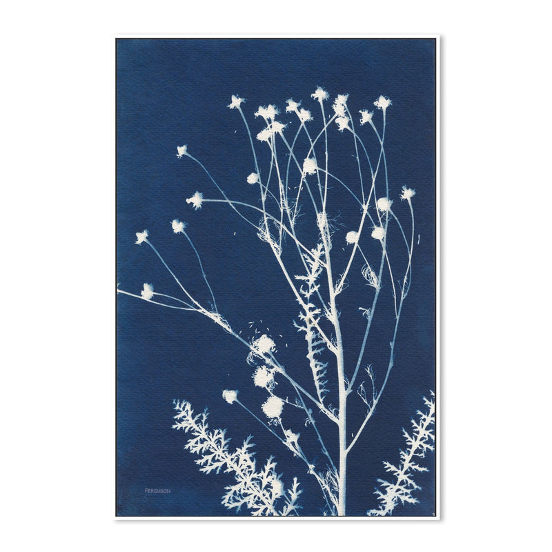 Alpine Flowers, Style D , By Kathy Ferguson