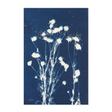 wall-art-print-canvas-poster-framed-Alpine Flowers, Style D & F, Set Of 2 , By Kathy Ferguson-GIOIA-WALL-ART