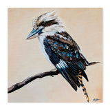 August, Kookaburra Painting, By Heylie Morris