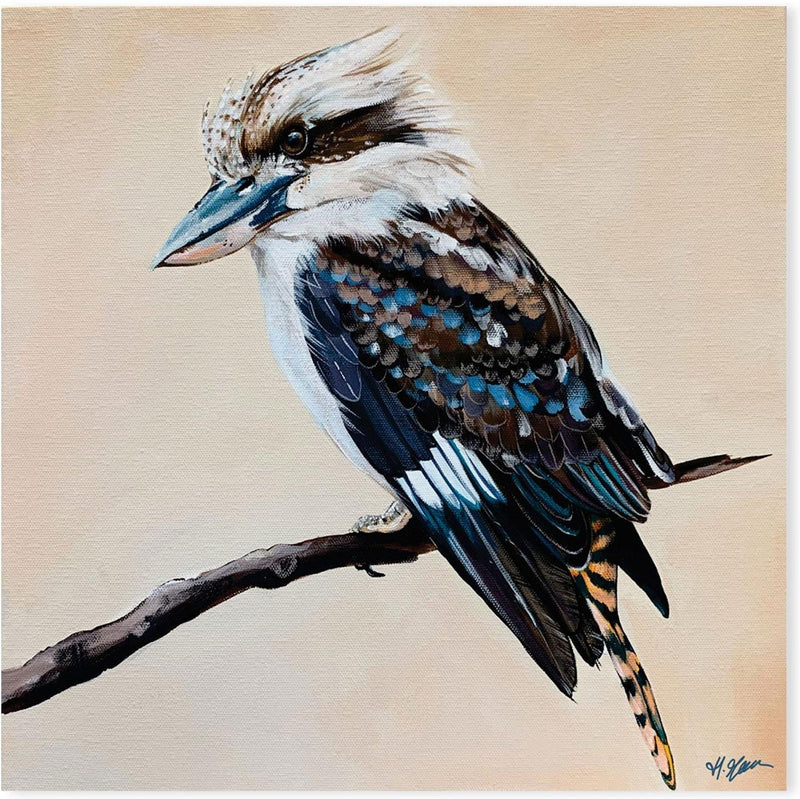 August, Kookaburra Painting, By Heylie Morris