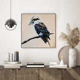 August, Kookaburra Painting, By Heylie Morris