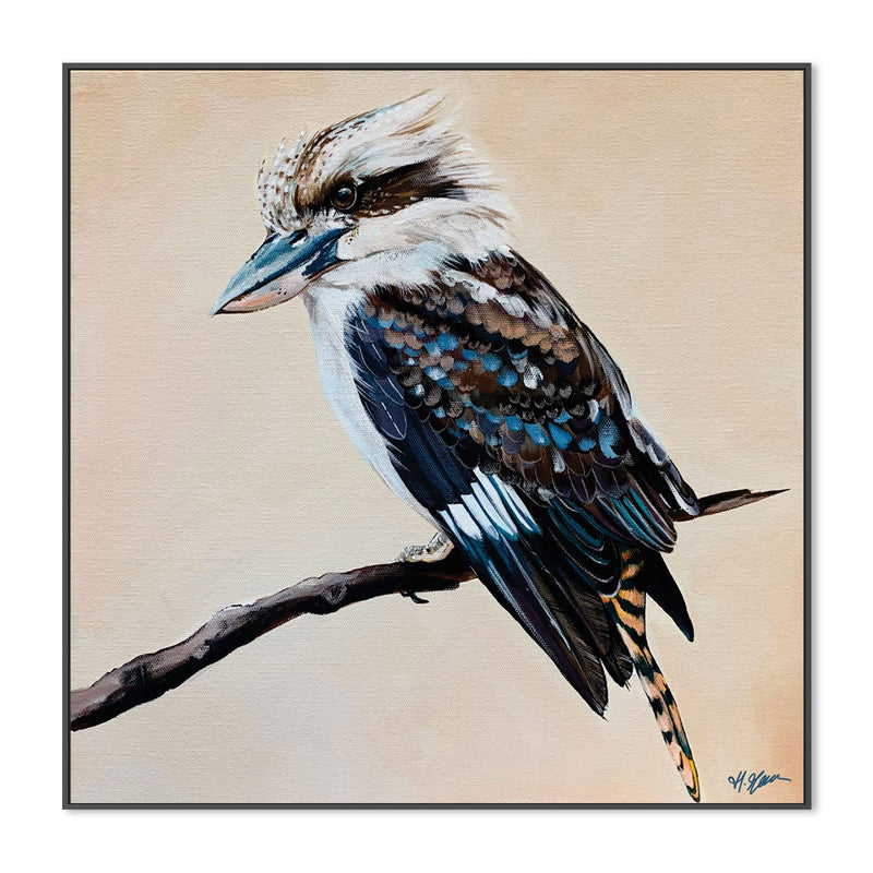August, Kookaburra Painting, By Heylie Morris