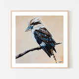 August, Kookaburra Painting, By Heylie Morris