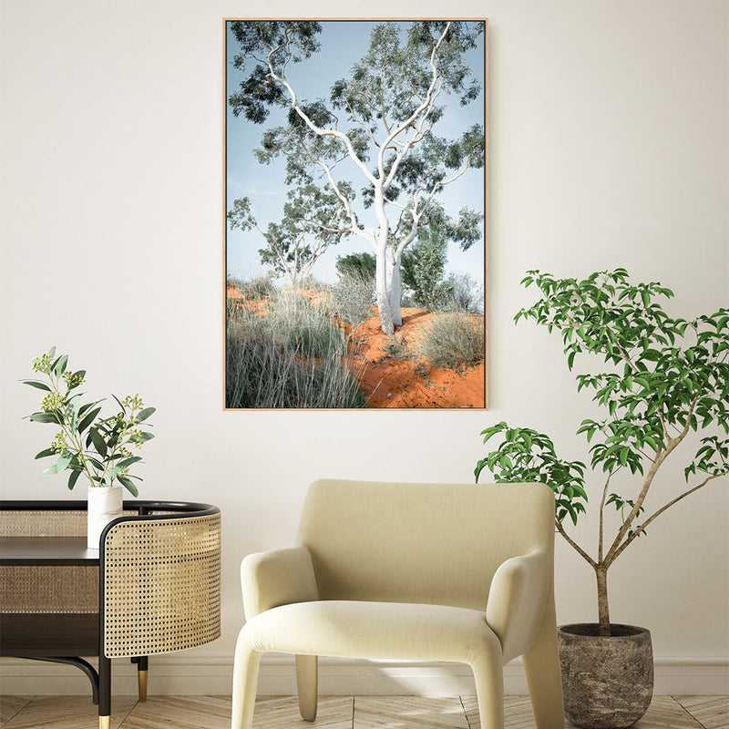 Australian Gum Tree Wall Art Print Framed Canvas Poster Gioia Wall Art