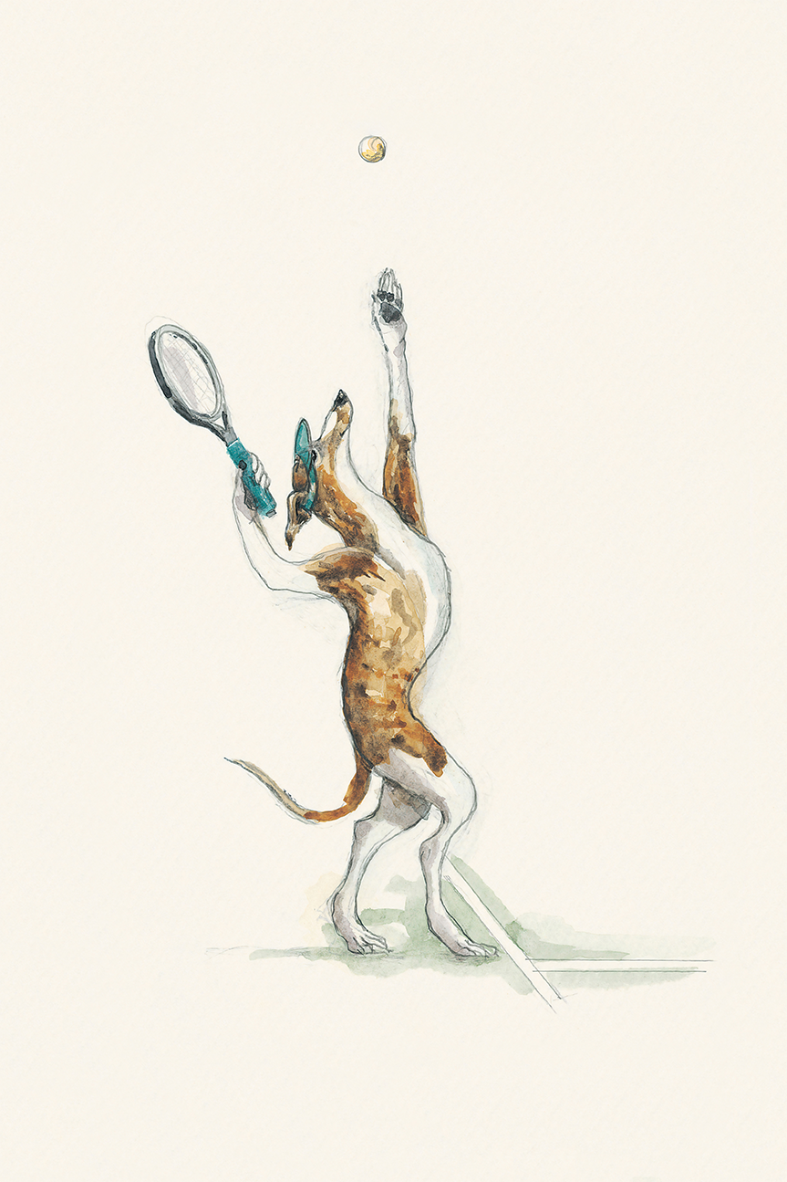 wall-art-print-canvas-poster-framed-Badminton Practice , By Animo Alphabets-1