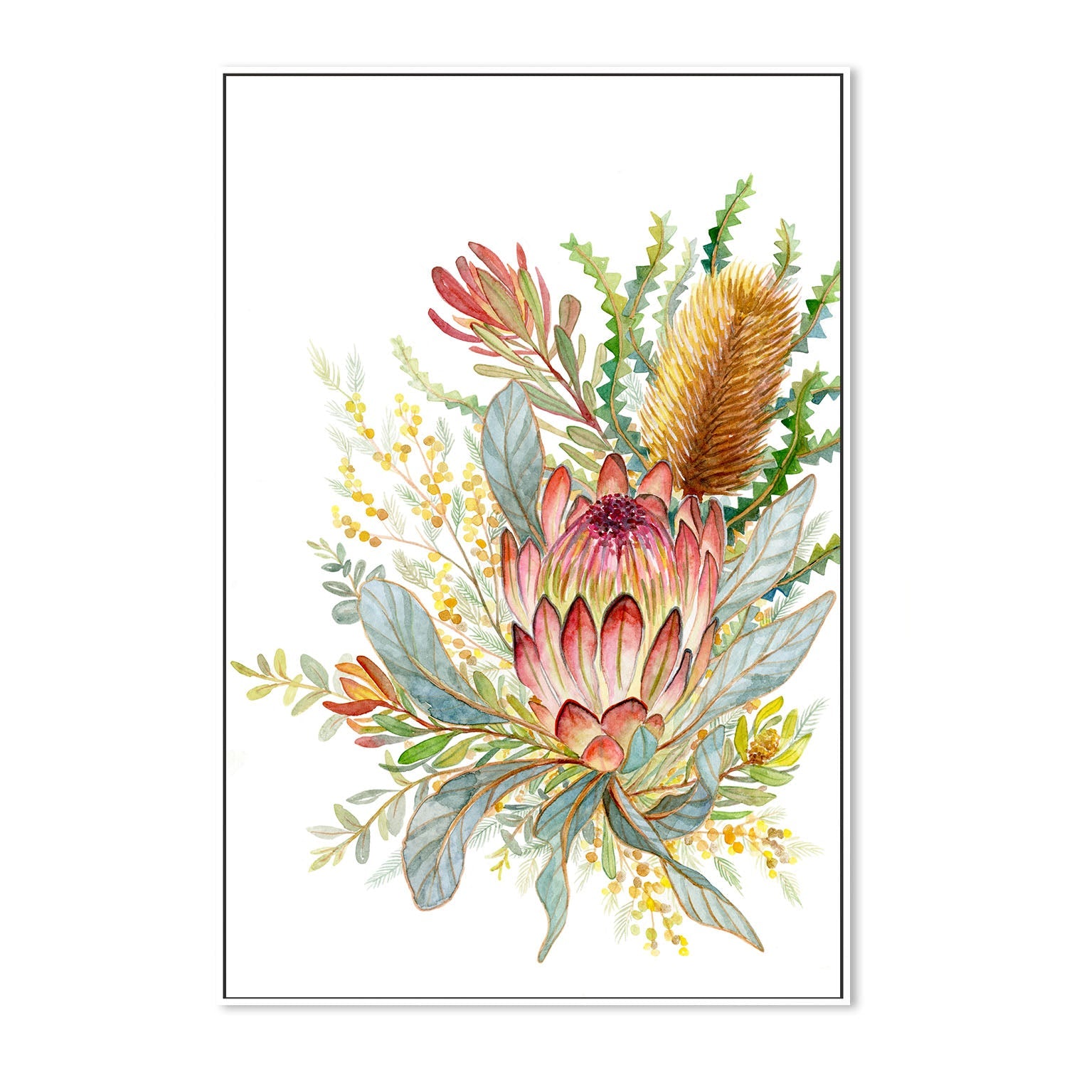 wall-art-print-canvas-poster-framed-Banksia & Leucadendron , By Jessie Mitchelson-5