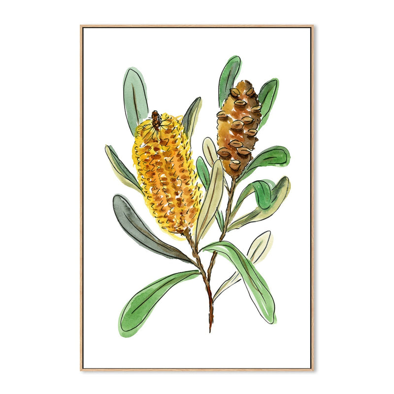 wall-art-print-canvas-poster-framed-Banksia Spinulosa , By Jessie Mitchelson-GIOIA-WALL-ART