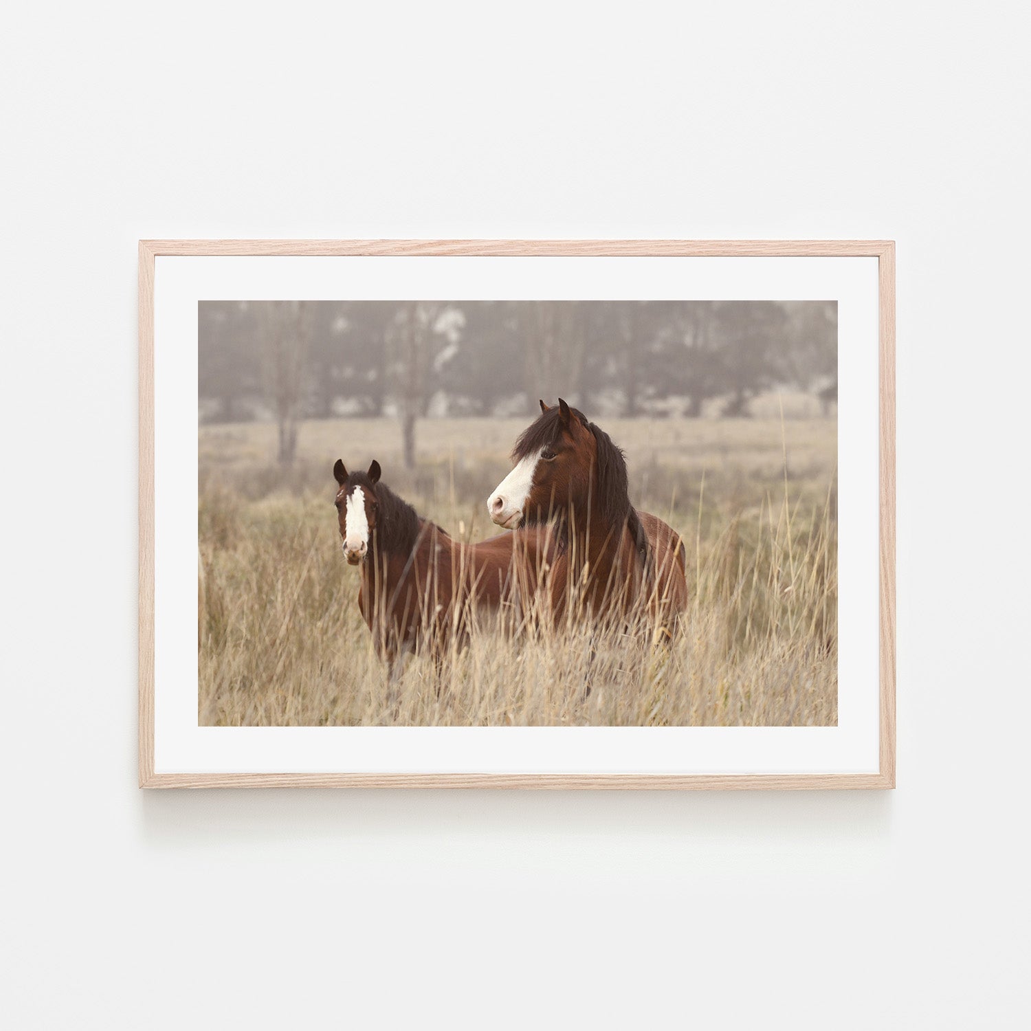 wall-art-print-canvas-poster-framed-Bella And Cookie , By Belinda Gerace-6