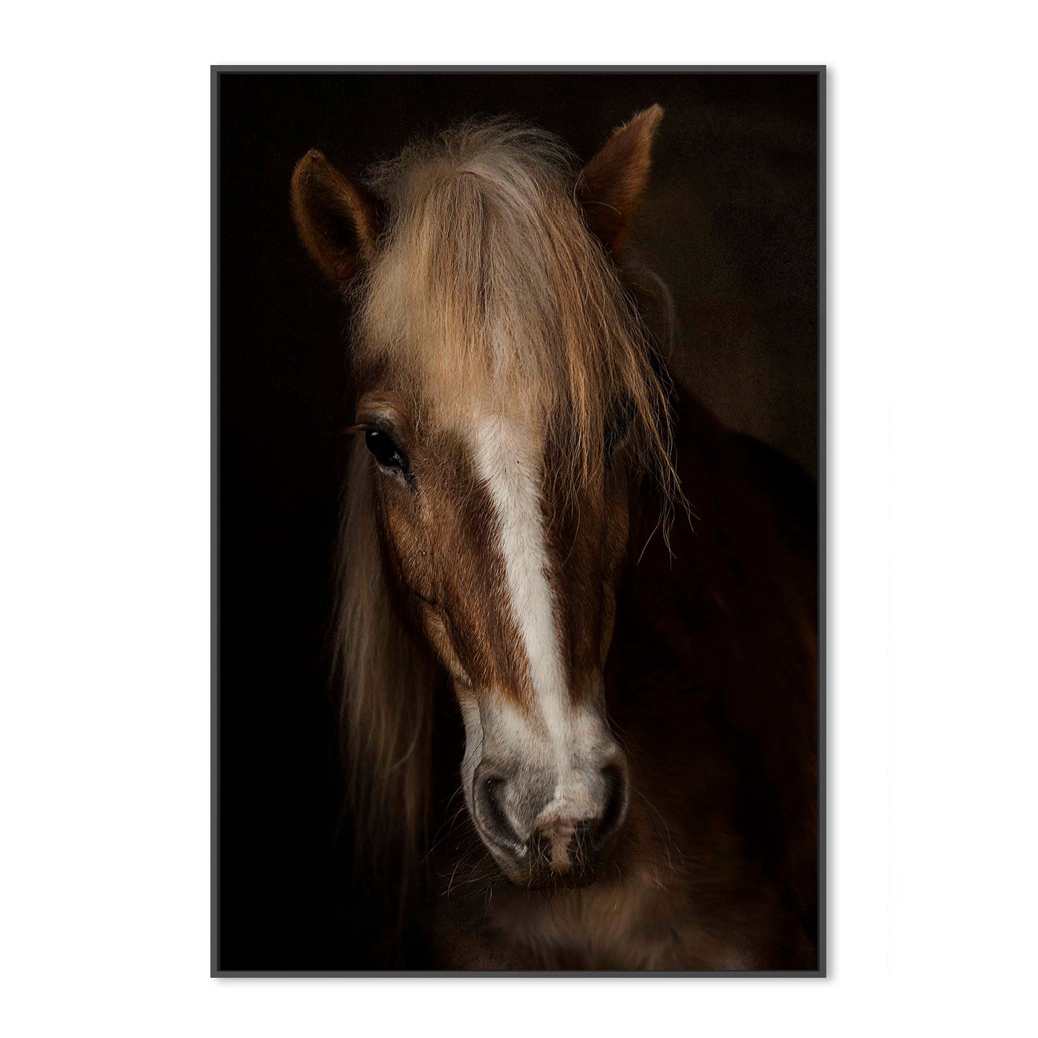 wall-art-print-canvas-poster-framed-Benezech - Sapience-3