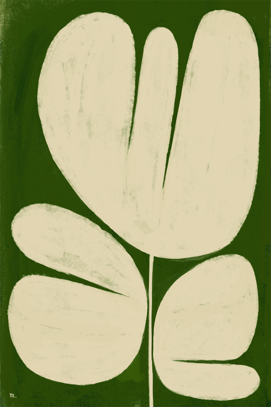 wall-art-print-canvas-poster-framed-Big White Flower On Green , By Marco Marella-1