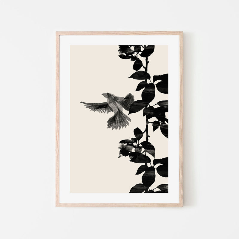 wall-art-print-canvas-poster-framed-Bird Botanical, Style A , By Danushka Abeygoda-GIOIA-WALL-ART