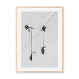 wall-art-print-canvas-poster-framed-Black Palm , By Max Lissendon-GIOIA-WALL-ART