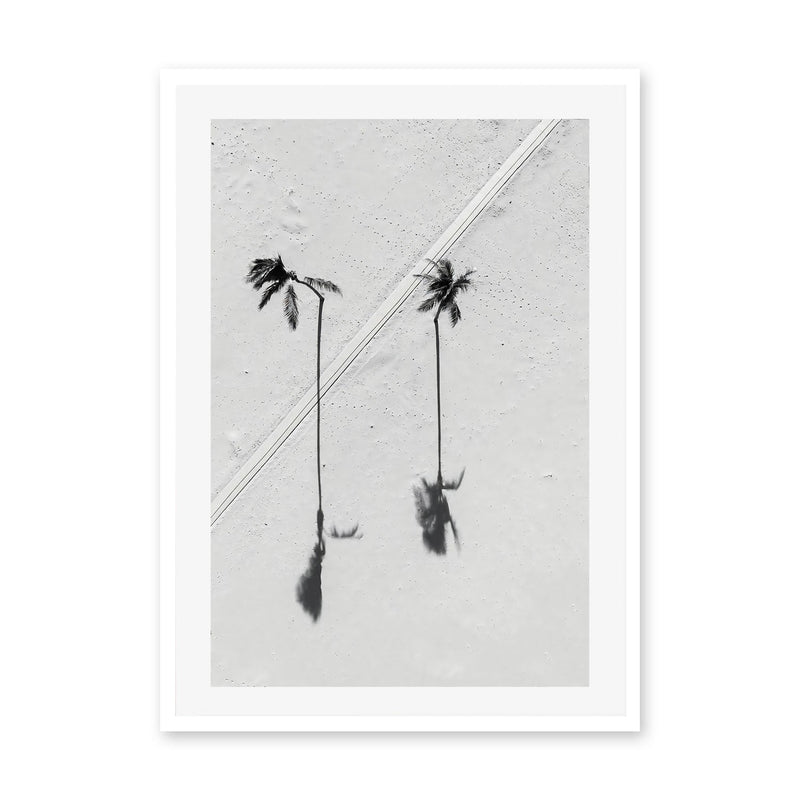 wall-art-print-canvas-poster-framed-Black Palm , By Max Lissendon-GIOIA-WALL-ART
