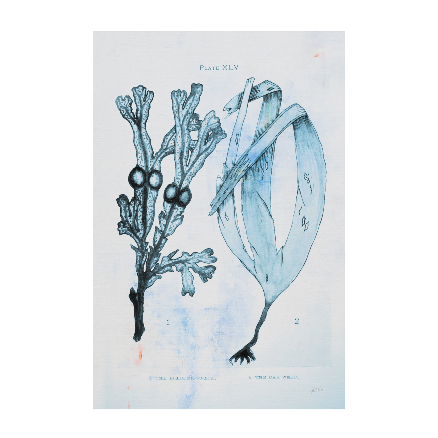 wall-art-print-canvas-poster-framed-Blue Bay, Style A & B, Set Of 2 , By Deborah Revell-7