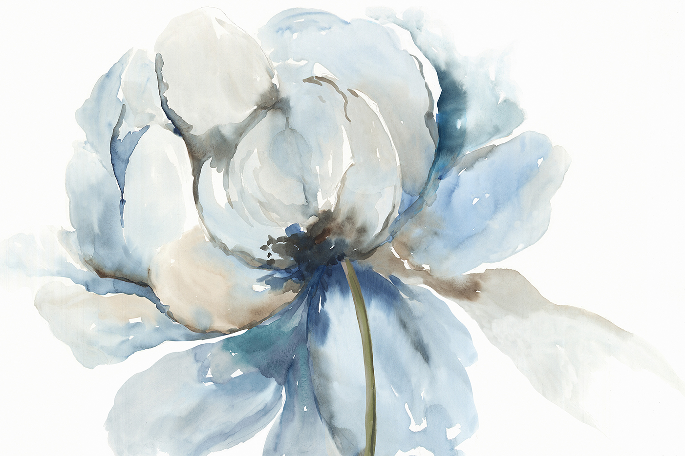 wall-art-print-canvas-poster-framed-Blue Blub Flower , By Asia Jensen-1