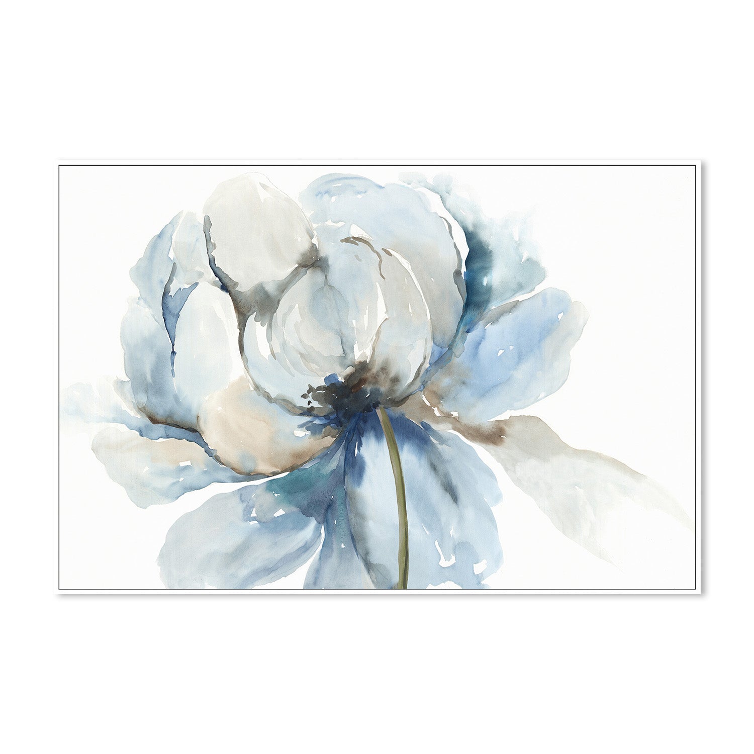 wall-art-print-canvas-poster-framed-Blue Blub Flower , By Asia Jensen-5