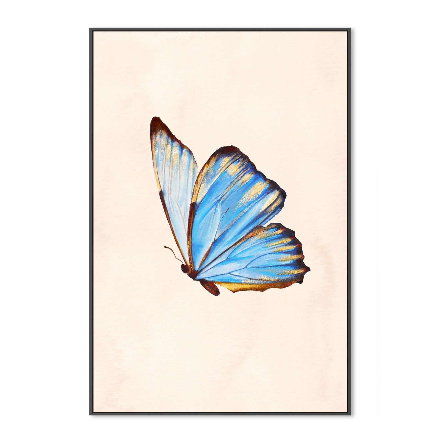wall-art-print-canvas-poster-framed-Blue Butterfly , By Julia Ockert-GIOIA-WALL-ART