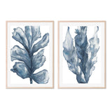 Blue Coral, Set of 2 , By Emily Wood