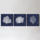 wall-art-print-canvas-poster-framed-Blue Coral, Set Of 3-by-Gioia Wall Art-Gioia Wall Art