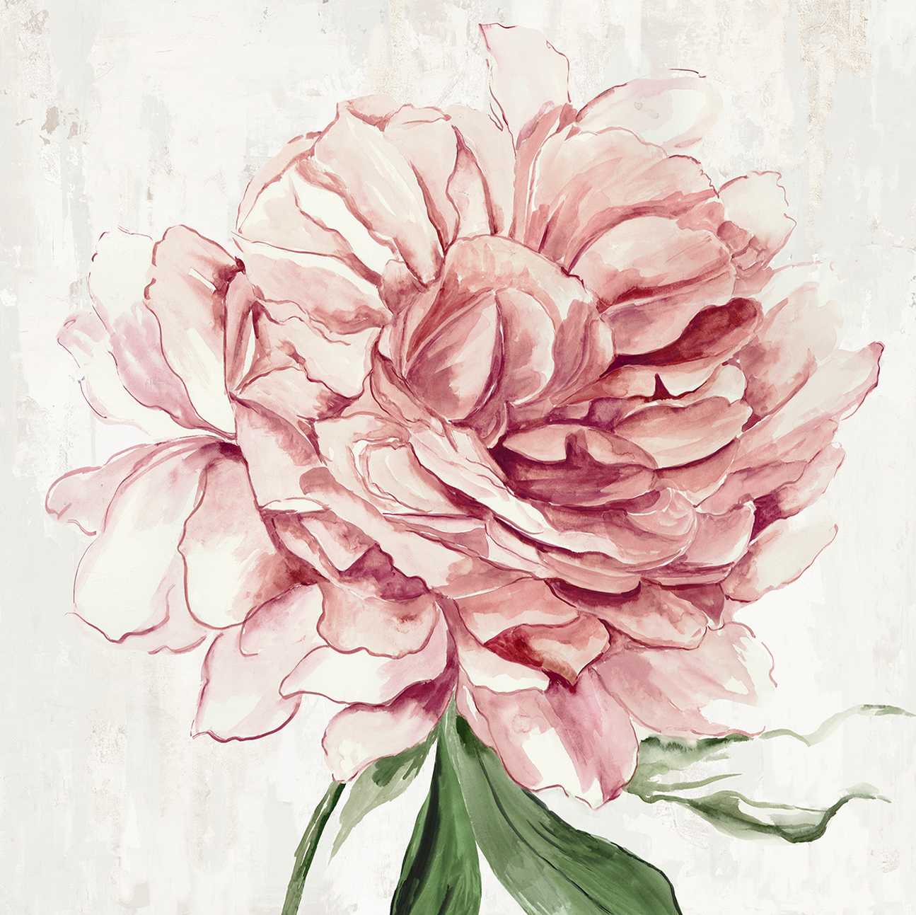 wall-art-print-canvas-poster-framed-Blush Beauty, Style A , By Asia Jensen-1