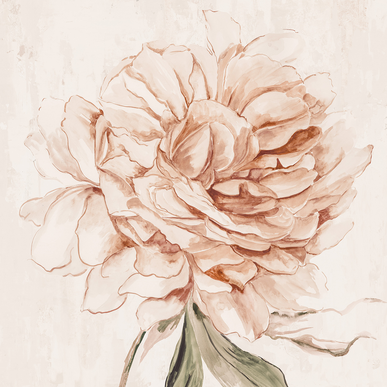 wall-art-print-canvas-poster-framed-Blush Beauty, Style B , By Asia Jensen-1