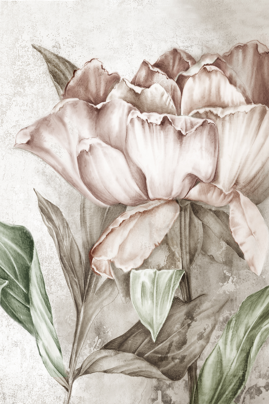 wall-art-print-canvas-poster-framed-Blush Botanical , By Eva Watts-1
