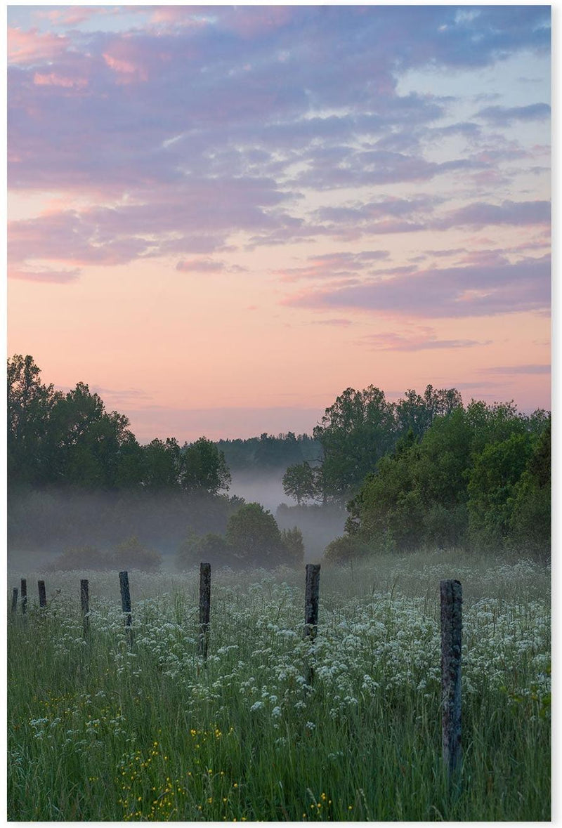 wall-art-print-canvas-poster-framed-Blushing Sunset , By Christian Lindsten-GIOIA-WALL-ART