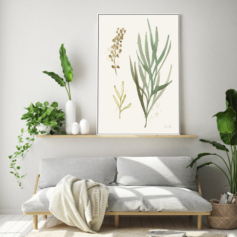 wall-art-print-canvas-poster-framed-Botanical Collage, Style B , By Laura Horn-GIOIA-WALL-ART