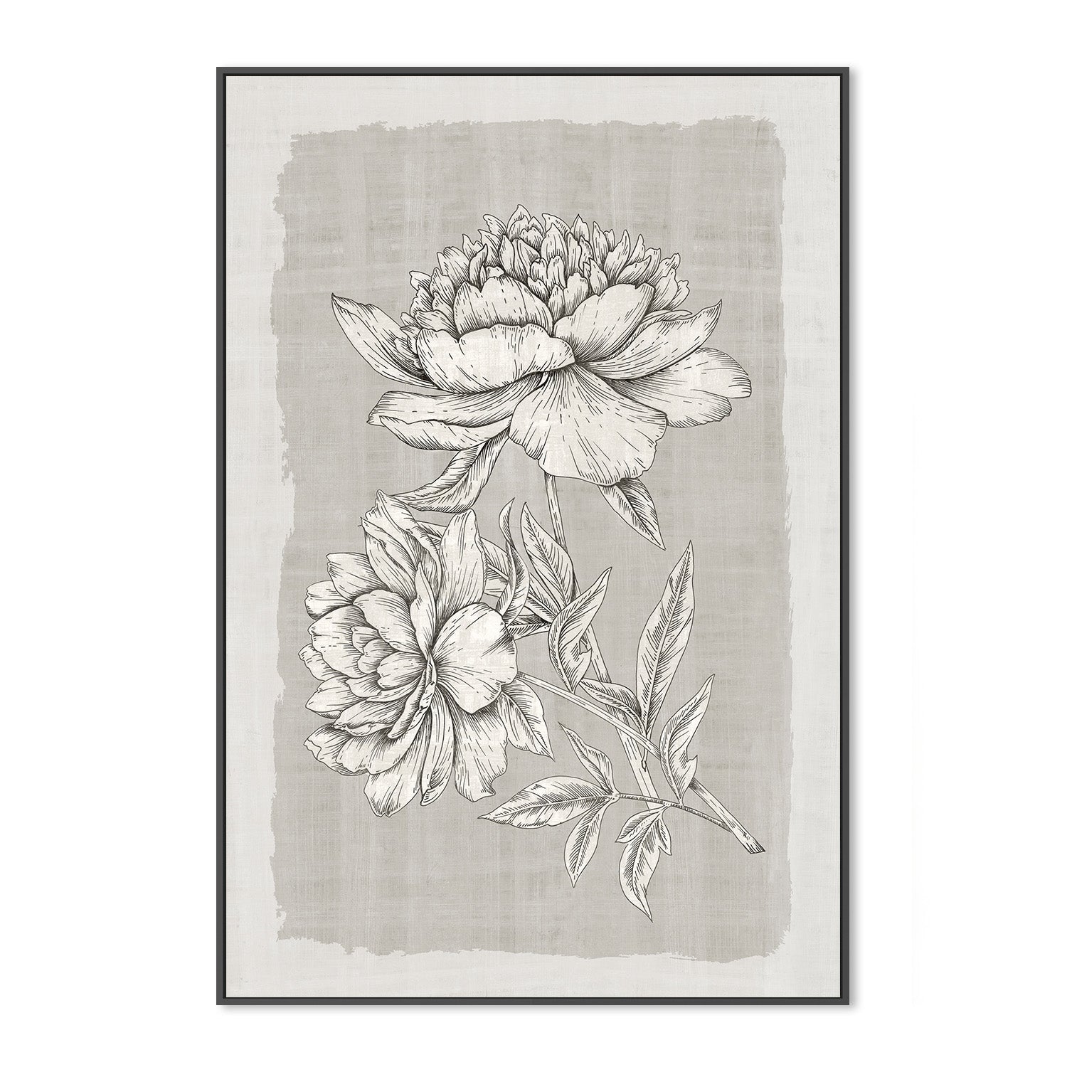 wall-art-print-canvas-poster-framed-Botanical Linen, Style A , By Eva Watts-3