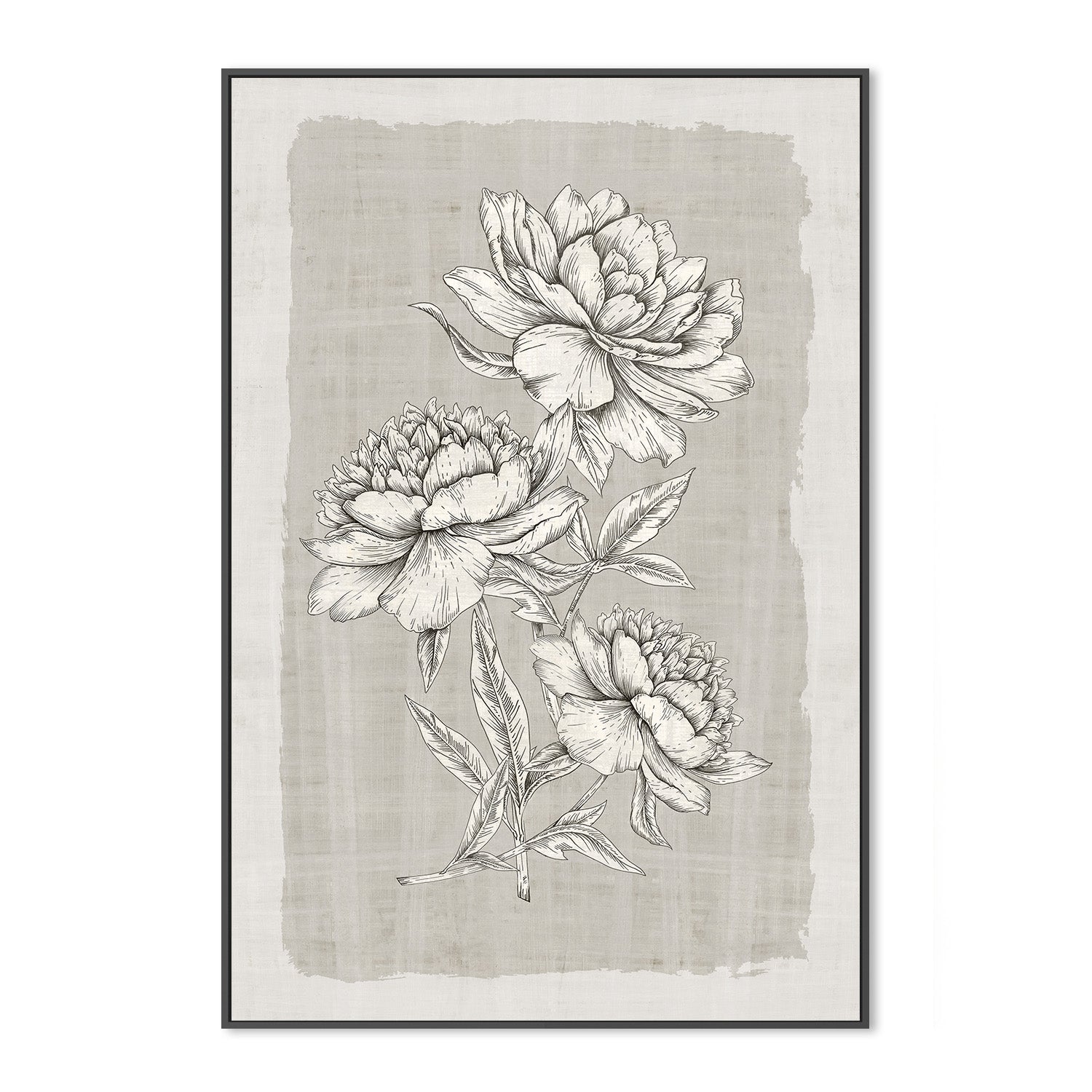 wall-art-print-canvas-poster-framed-Botanical Linen, Style B , By Eva Watts-3