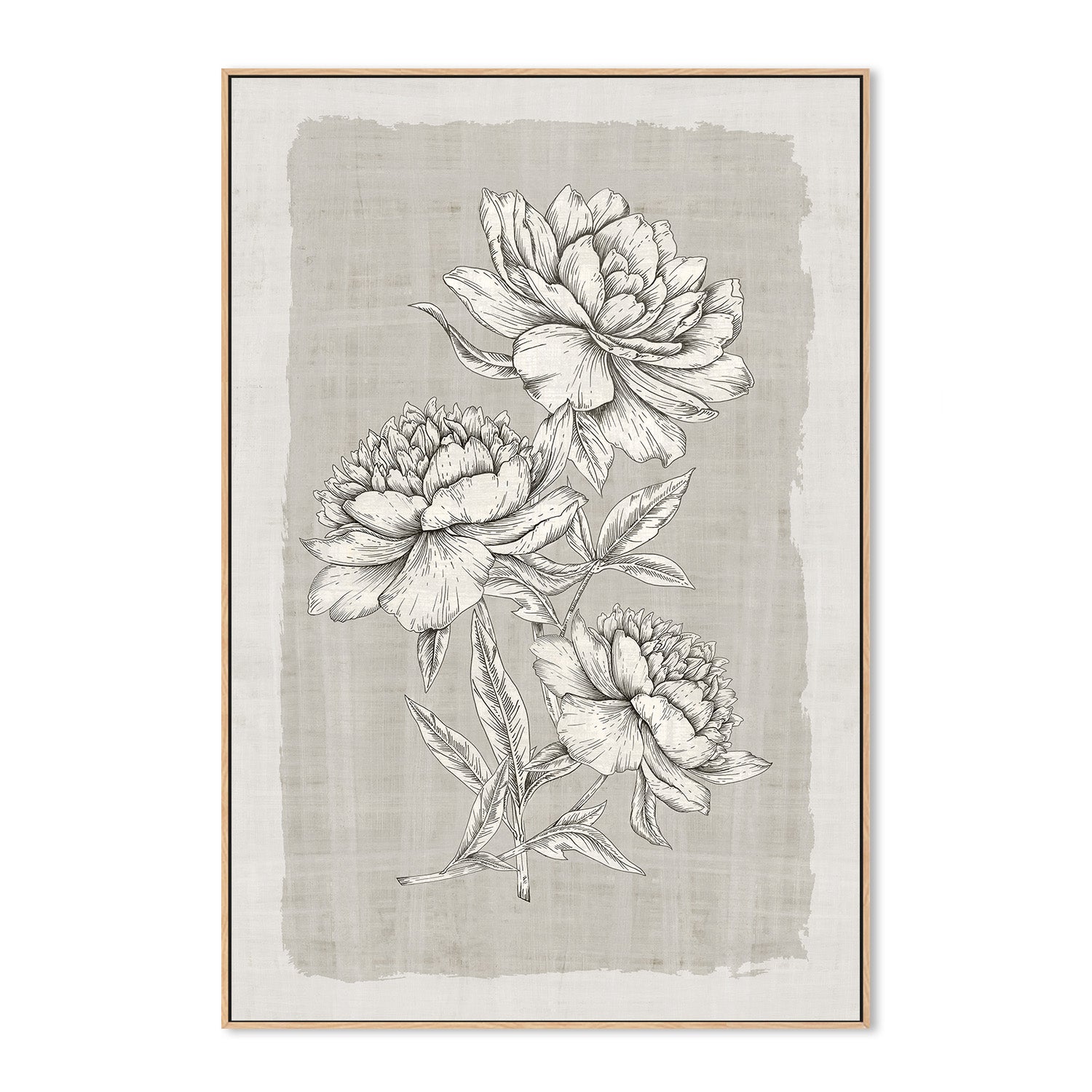 wall-art-print-canvas-poster-framed-Botanical Linen, Style B , By Eva Watts-4